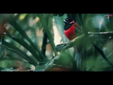 Profil Pariwisata Kutai Timur