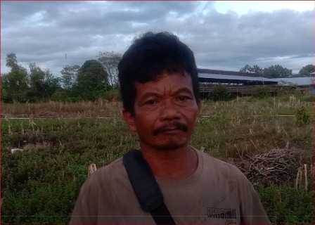 Cerita Yetno, Petani Kanal Dua Sangatta. Gagal Panen Banyak Petani Sayur Gulung Tikar, Rugi Ratusan Juta. Berharap Pemkab Kutim Peduli Petani